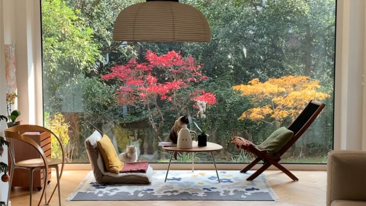 Pulang ke rumah lalu melihat adegan ini