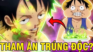 LUFFY THAM ĂN TRÚNG ĐỘC?! | NHỮNG LẦN LUFFY TRÚNG KỊCH ĐỘC TRONG ONE PIECE