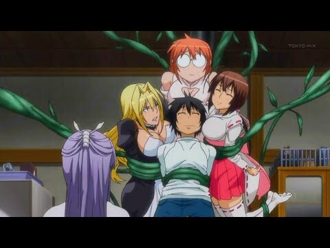 Ketika Kalian Punya Banyak Istri