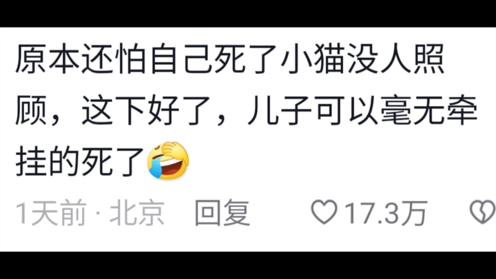 أحد الآباء ألقى بقطة طفله المحبوبة خوفًا من أن ينفق ابنه المال بلا داعٍ على تربية القطط!