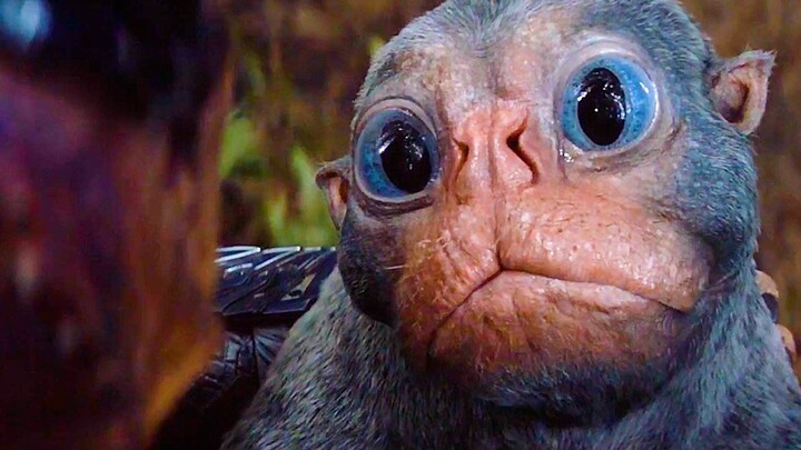 “من يستطيع أن يرفض عيون كازيلان الكبيرة هذه – يا صغيرتي!”