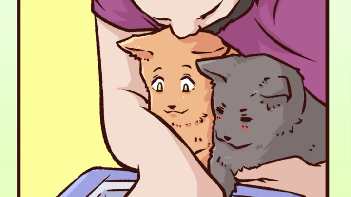 A heartfelt keepsake capturing the bond between owner and cat