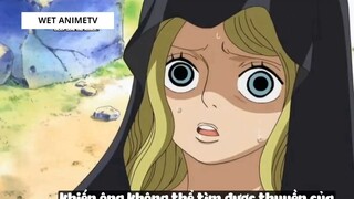 Top 6 Thánh Nhọ Trong One Piece #15 7