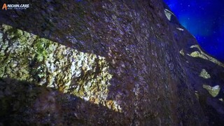 Peerless Battle Spirit episode 114 sub indo