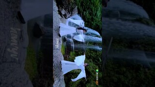 Minute of aesthetics #theuntamed #modao #untamed #mdzs #nature #cdrama #china #aesthetic #shorts