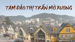 Tam Đảo Vĩnh phúc điểm du lịch tránh nóng ngay gần Hà Nội