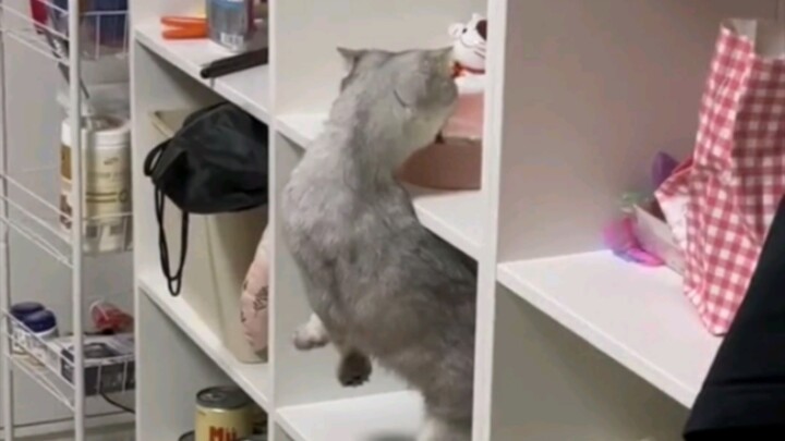 Strong people never complain about their environment.