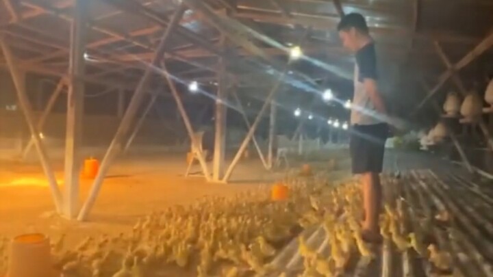 Let’s have a quick meeting for the newbies first!