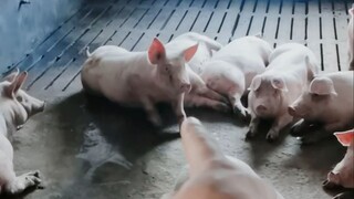 Kesenjangan informasi terkait isu sosial populer pada 22 Oktober