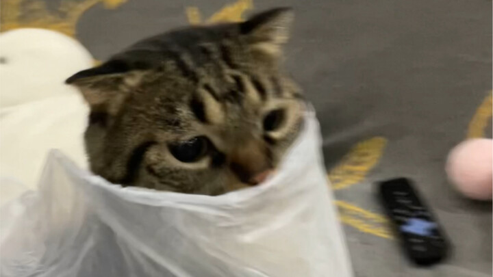 "Chou Juanbao's Cross-Dressing Fetish"