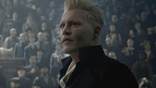 Drama|Fantastic Beasts|Handsome Gellert Grindelwald