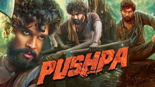 PUSHPA 2 : THE RULE (2024), FULL HD MOVIE ,, हिन्दी में, LATEST ACTION ...