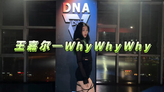 王嘉尔新歌《WhyWhyWhy》与性感Jazz编舞融合～简直苏到心巴上啦！！！
