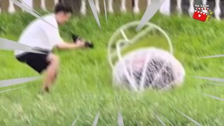 Ai làm cho nó dừng lại được không