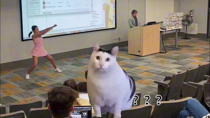 【Meme kucing】Dalam situasi yang memusingkan dan melelahkan, aku memilih untuk sedikit malu-maluin di