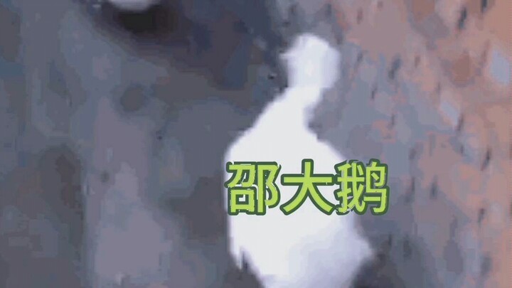 Li Shuo menghilang, dan Shao Qun langsung mendatangi kantor polisi untuk melapor. Polisi berkata: "T