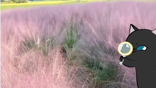 A new day starts with loving yourself!