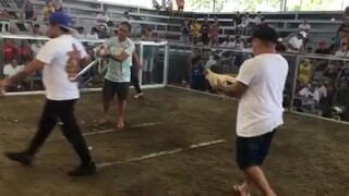 StanSid white battles a white in Victoria Coliseum