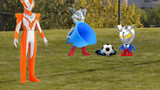 Video đồ chơi giáo dục sớm khai sáng thời thơ ấu: Ultraman Ciro nhỏ thông minh nhặt bóng