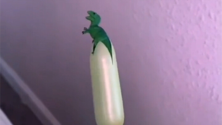 Sis, your idea is seriously messed up.