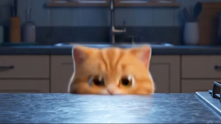 He really thought he got away with it... 🍰👀 #funny #shorts #cat #animation  #shortvideo