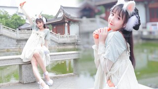 【晓丹】活泼可爱小肉兔，在线煮熟炖萝卜❀灵动夏日版-桃花笑❀
