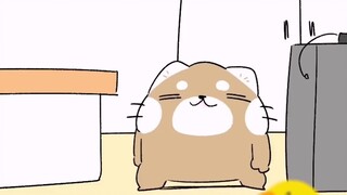 The first episode of the new August series of Sand Sculpture Cat