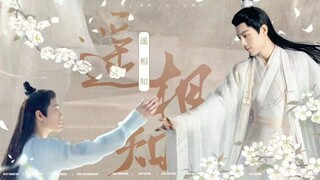【肖战水仙  II双影 HE】【白切黑茶茶遥X冰山美人影】遥相知--第二集