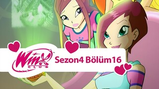 Winx Club - Sezon 4 Bölüm 16 - Sanal Dünya