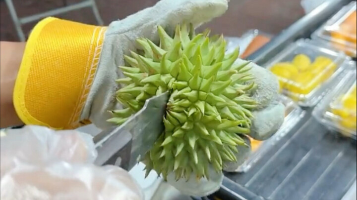 Những người yêu thích sầu riêng nên đến tìm hiểu nhé!