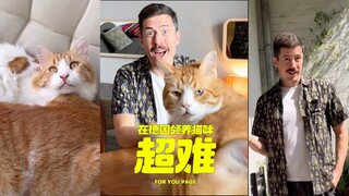 在德国领养猫咪是很难的‼️
