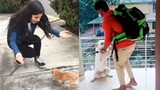 Dogs Meets Owner After Long Time - TRY NOT TO CRY