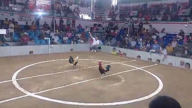 Gull vs Talisay Win (Howard Belk) My Own Berserker Line Grabe laban Hanggung huling hininga