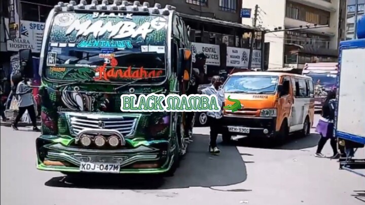 BLACK MAMBA 💚🖤🐊