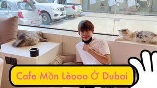 Thằng Cò Lần Đầu Đi Quán Cafe Mèo Ở Dubai # Thằng Cò