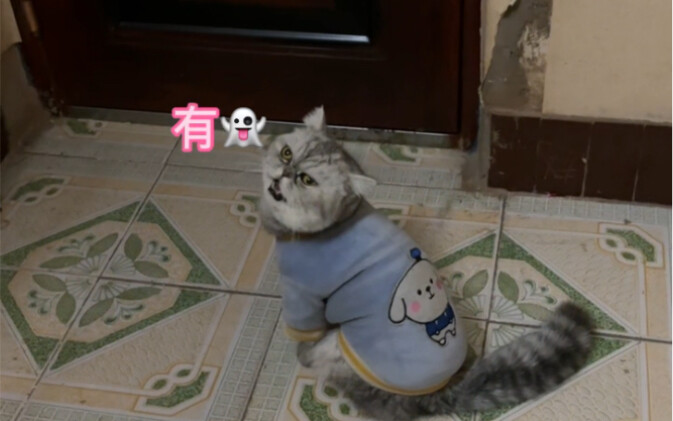 Nó không cho phép mọi người nghỉ ngơi vào giữa đêm