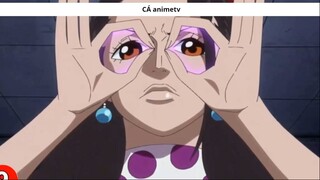 Top 10 Trái Ác Quỷ hỗ trợ đồng đội cực tốt __ 1