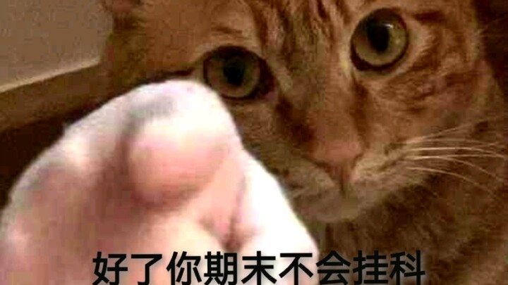 Anyone KangKang calls out won't fail their final exams!