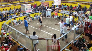 2hts derby champion, sariaya cockpit arena