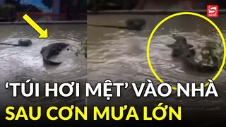 'Một chiếc túi hơi mệt' được ông trời mang tặng cho gia chủ vì trót làm mưa lớn ngập nhà
