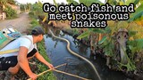 Fishing and immediately encounter 2 predatory cobras | Hunting Giant Fish