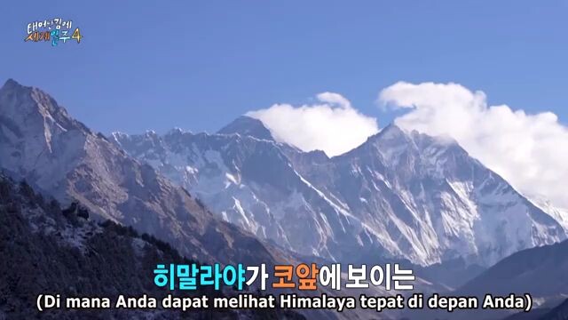 Adventure by Accident S4 Ep 5 (sub indo)