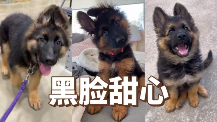 “Eh, cepet buka pintunya! Ini aku, Si Kelinci De!”