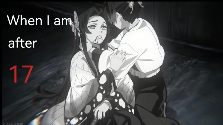 [蝴蝶忍单人向]When I am after 17
