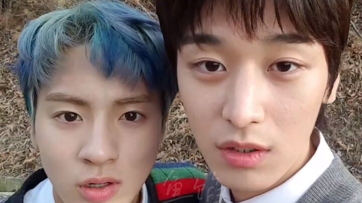 ชาวนาและสุนัข