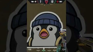 Don’t mess with the penguin 🐧 #VCT #shorts