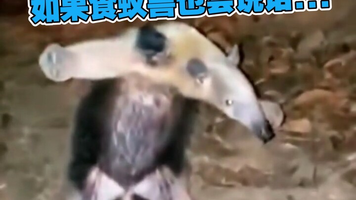 It's really huge!! 😭