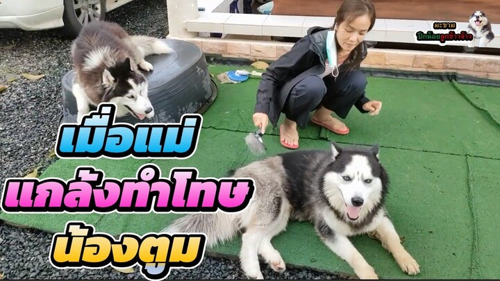 “เมื่อแม่แกล้งทำโทษน้องตูม” พี่ขามจะทำยังไง | มะขาม ปึกน้อย ลูกข้าวจ้าว EP. 321