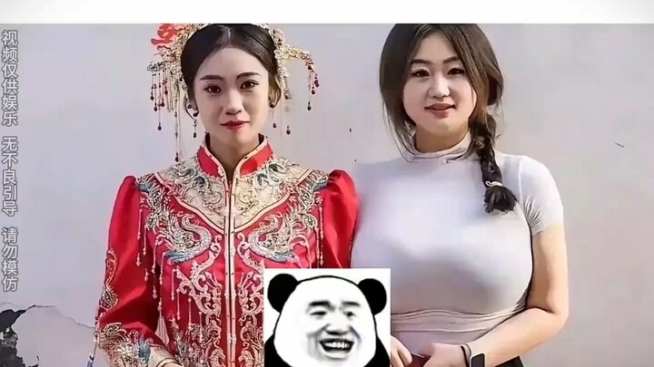 A roundup of hilarious fan comments—history proves that great talent is born in the comments!