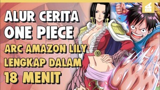 Pulau Wanita !! SELURUH ALUR CERITA ONE PIECE PART 8 (ARC AMAZON LILY ) LENGKAP HANYA DALAM 18 MENIT